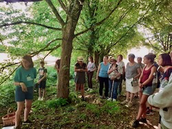 photo de la fête de la nature