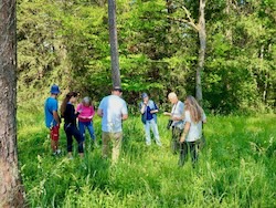 photo de la fête de la nature