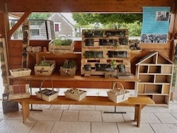 photo de la fête de la nature