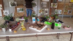 photo de la fête de la nature