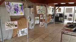 photo de la fête de la nature