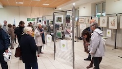 photo de la fête de la nature