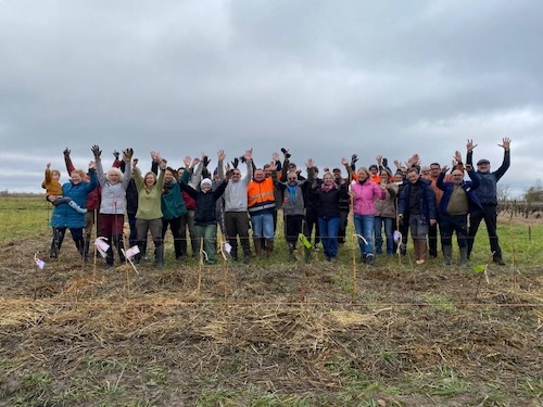 plantation d'une haie