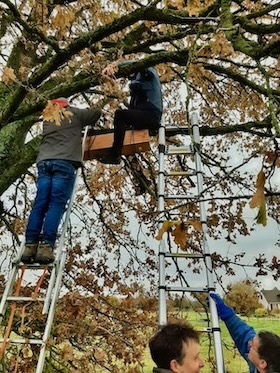 photo d'installation d'un nichoir