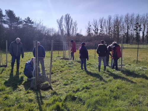 plantation d'un verger