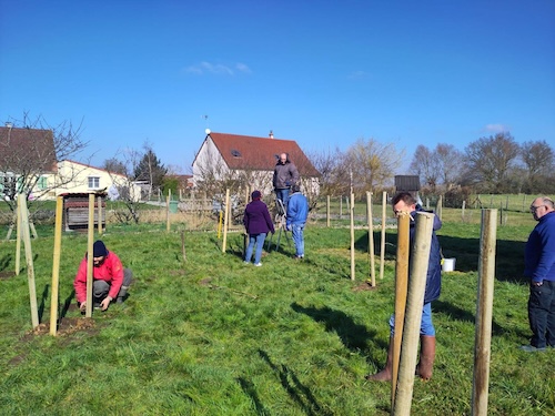 plantation d'un verger