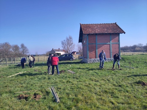 plantation d'un verger