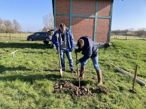 plantation d'un verger